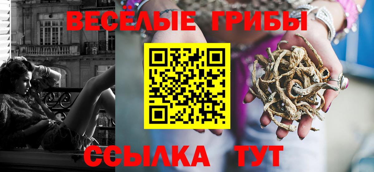 Магадан  продажа наркотиков  Вход с VPN  Галлюциногенные грибы Psilocybine cubensis 