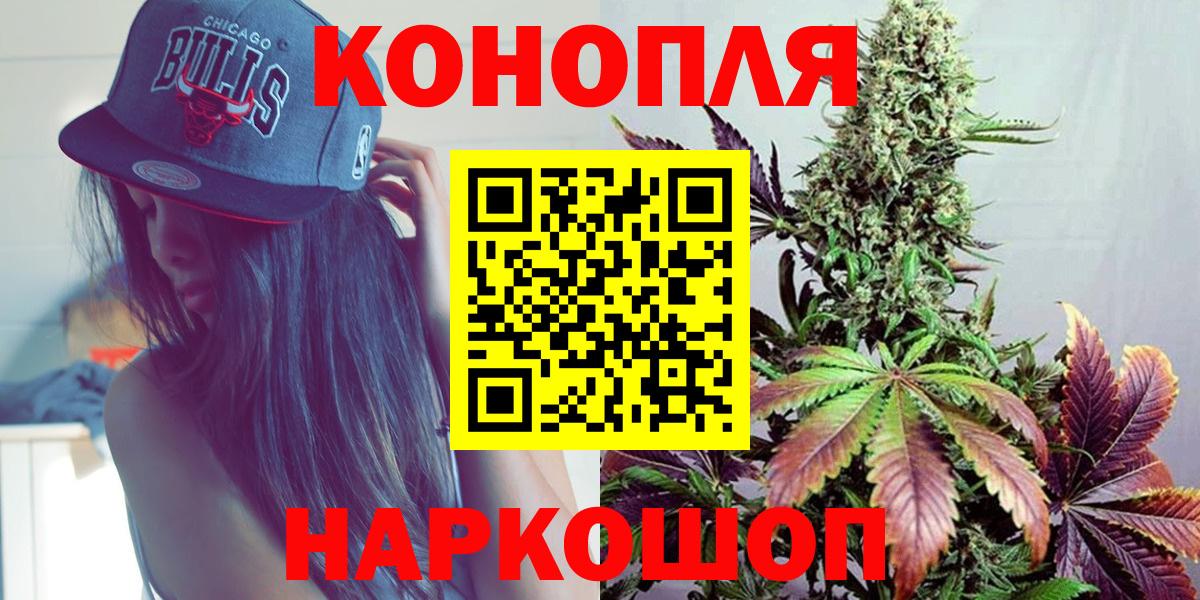 Бошки марихуана планчик  Конопля SATIVA & INDICA  Магадан  Вход с VPN  Бошки марихуана план  Марихуана марихуана 